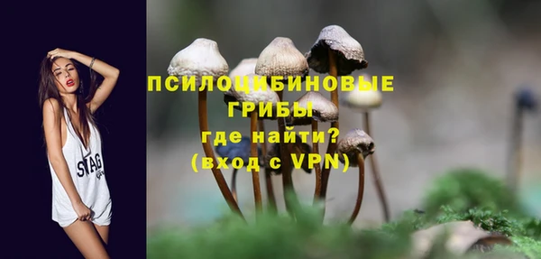 2c-b Горно-Алтайск