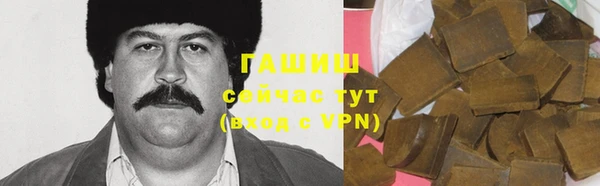 2c-b Горно-Алтайск