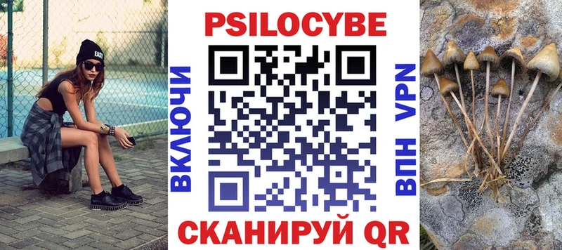 blacksprut зеркало  Майкоп  Псилоцибиновые грибы Psilocybe 